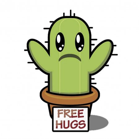 Maglietta Cactus Free Hugs