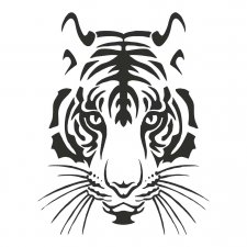 Maglietta Tigre