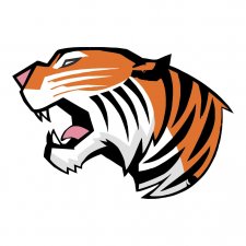 Maglietta Tigre Colori