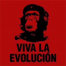 Maglietta Viva la Evolution