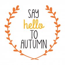 Maglietta Autunno