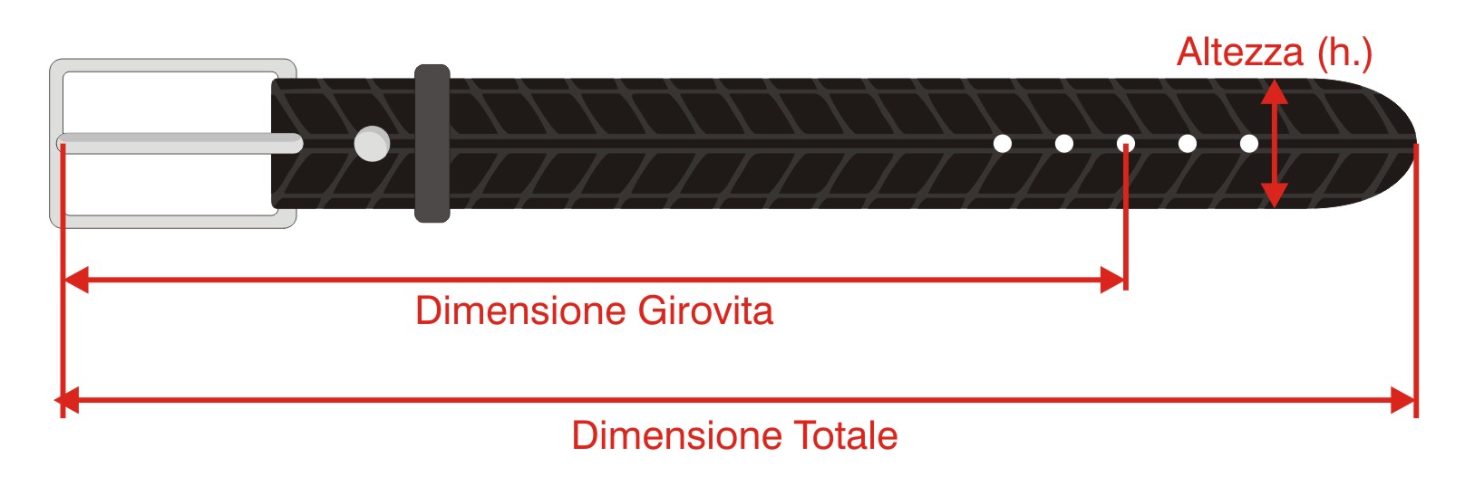 Taglie e misure CinBike